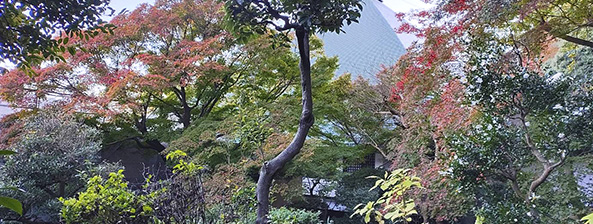 秋の岡崎城